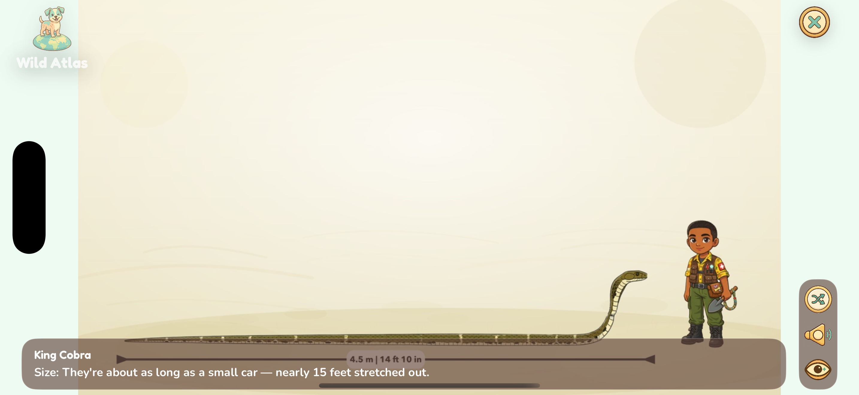 King Cobra size comparison