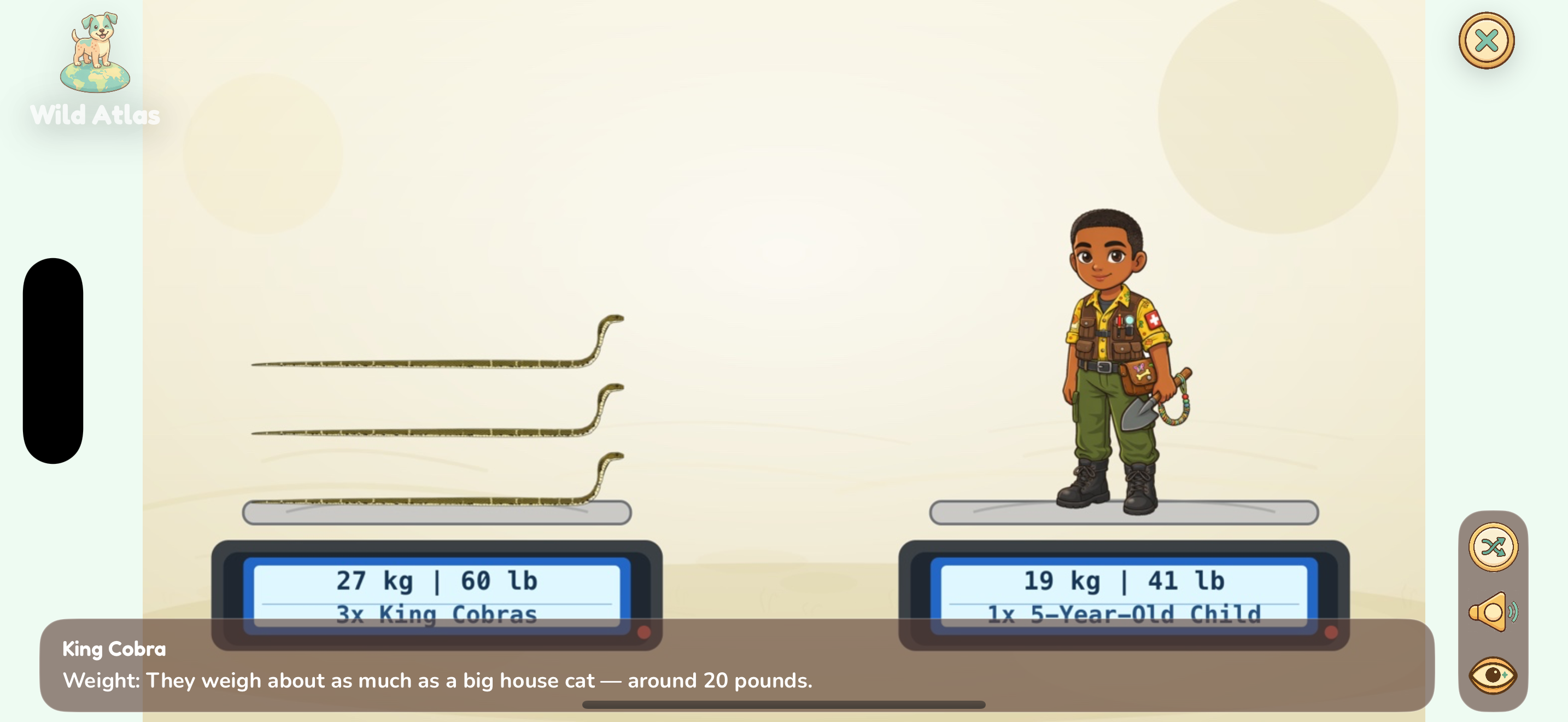 King Cobra weight comparison