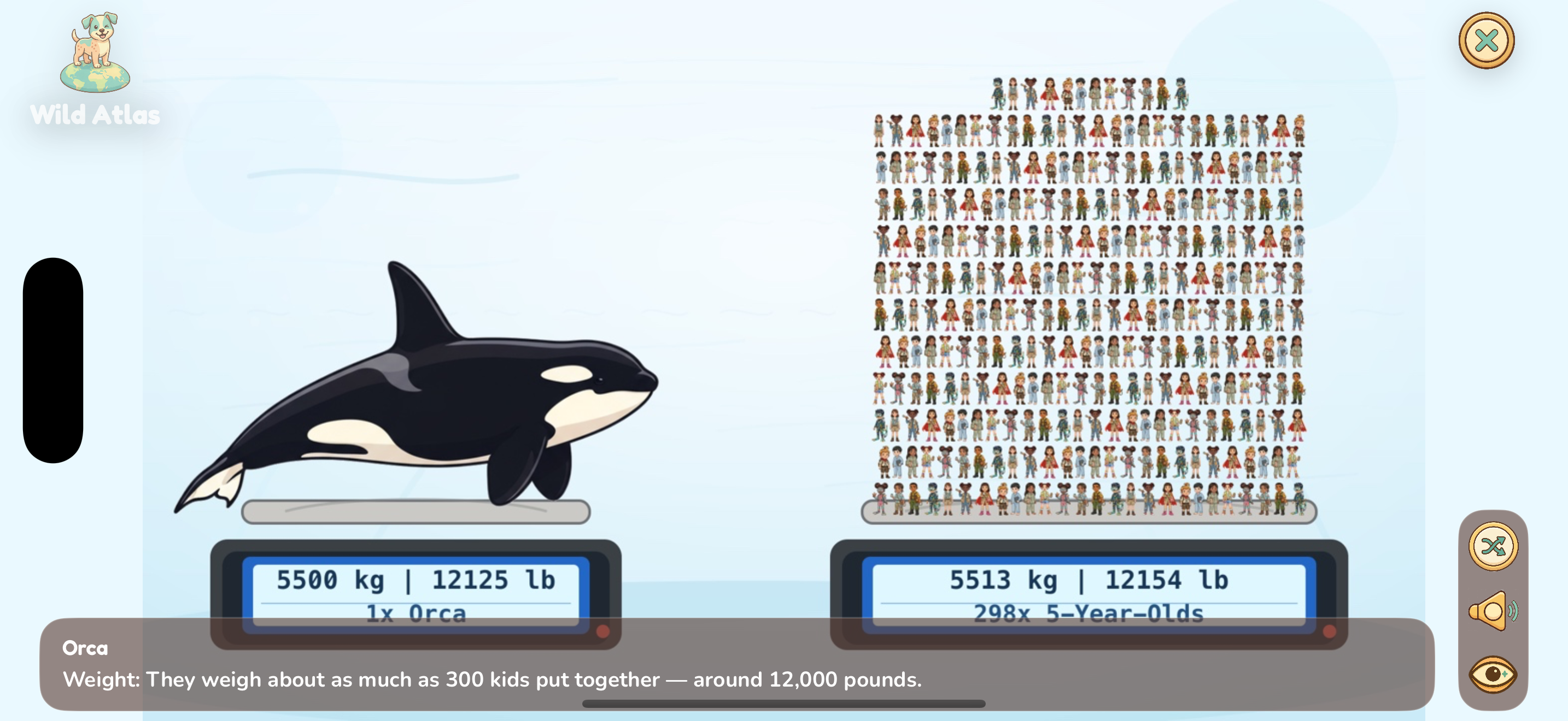 Orca weight comparison