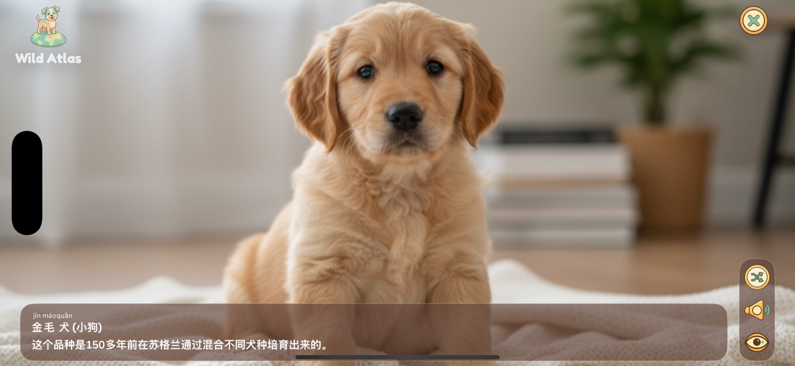 Wild Atlas Wild Watch slideshow in Simplified Chinese