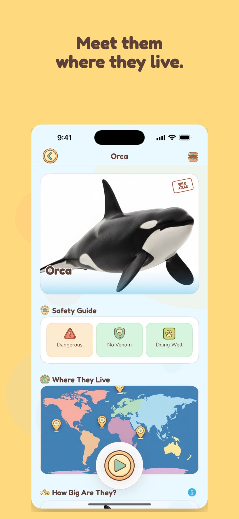 Orca animal page