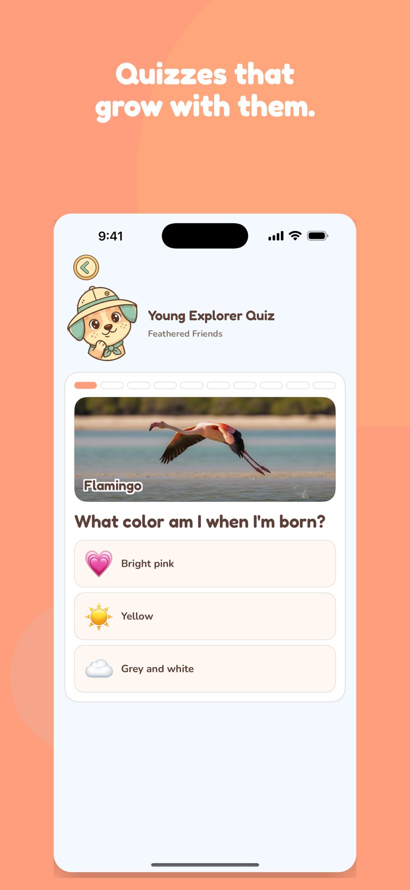 Animal quiz